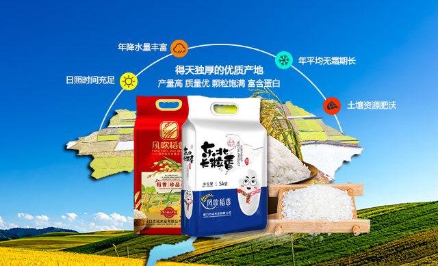 威尼斯wns885566(中国)有限公司-官方网站