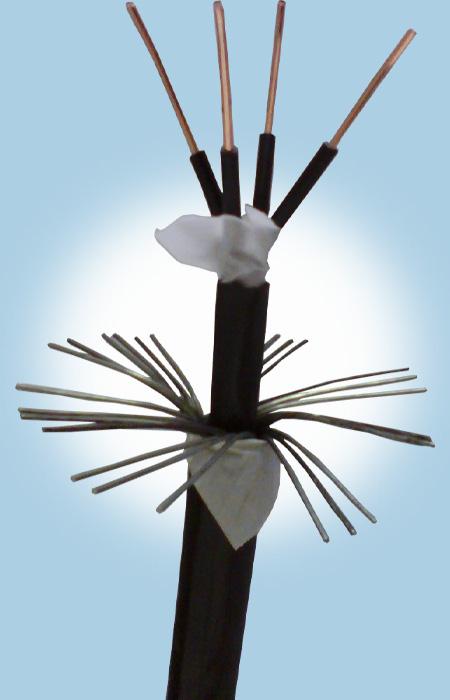 海博论坛·hibet(中国)官方网站