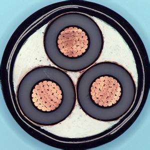 海博论坛·hibet(中国)官方网站