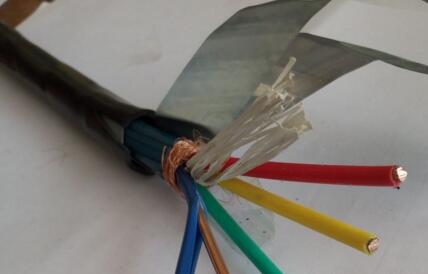 海博论坛·hibet(中国)官方网站