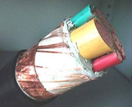 海博论坛·hibet(中国)官方网站