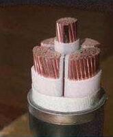 海博论坛·hibet(中国)官方网站