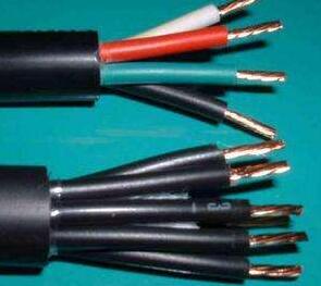 ������̳��hibet(�й�)�ٷ���վ