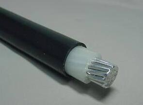 ������̳��hibet(�й�)�ٷ���վ