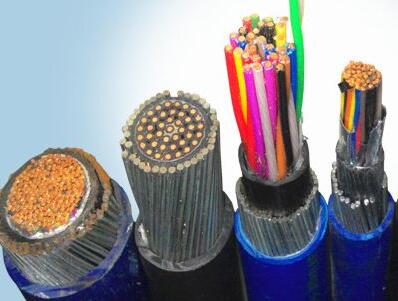 海博论坛·hibet(中国)官方网站