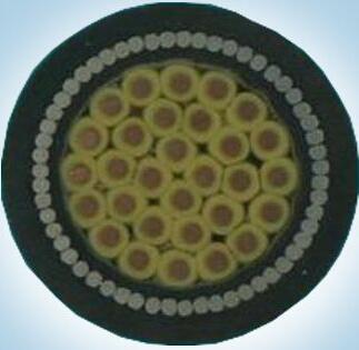 海博论坛·hibet(中国)官方网站