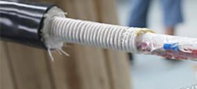 海博论坛·hibet(中国)官方网站