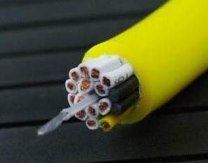 海博论坛·hibet(中国)官方网站