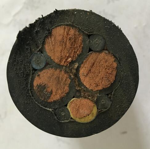 海博论坛·hibet(中国)官方网站