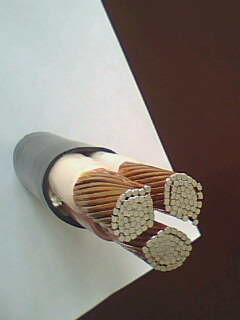 海博论坛·hibet(中国)官方网站