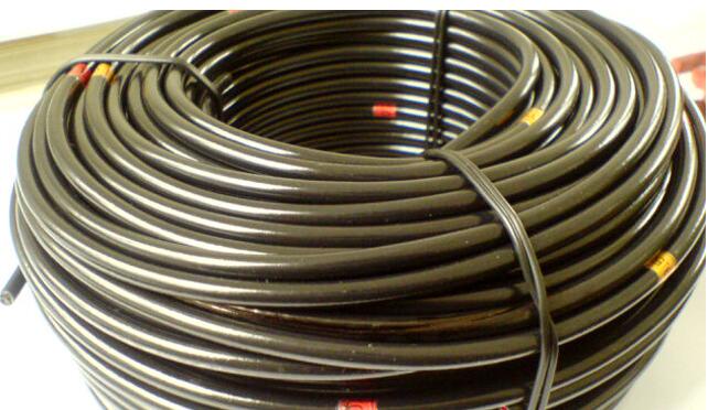 海博论坛·hibet(中国)官方网站