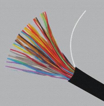 海博论坛·hibet(中国)官方网站