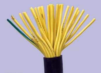 海博论坛·hibet(中国)官方网站