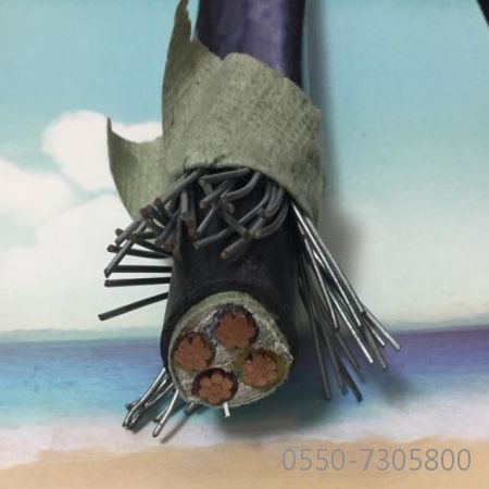 海博论坛·hibet(中国)官方网站