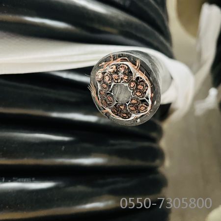 海博论坛·hibet(中国)官方网站