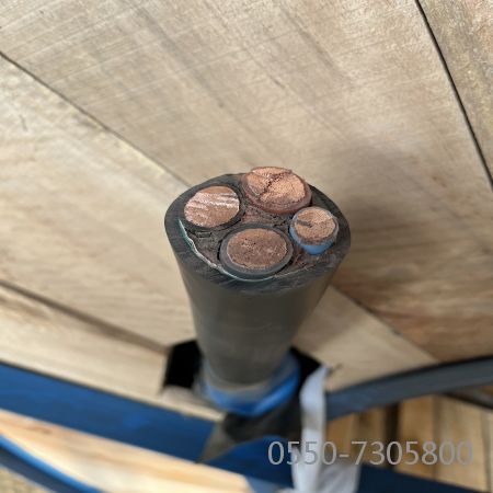 海博论坛·hibet(中国)官方网站