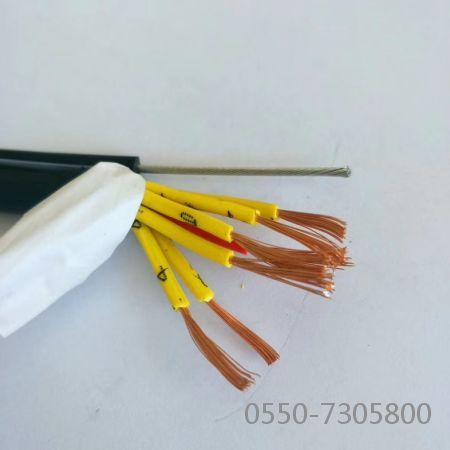 海博论坛·hibet(中国)官方网站