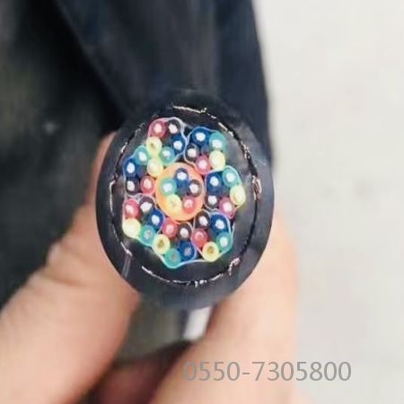 海博论坛·hibet(中国)官方网站