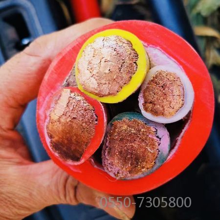 海博论坛·hibet(中国)官方网站