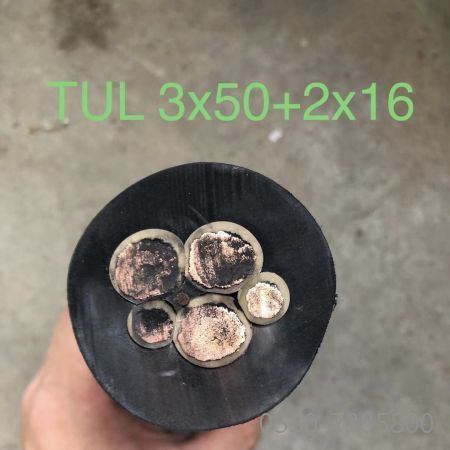 海博论坛·hibet(中国)官方网站