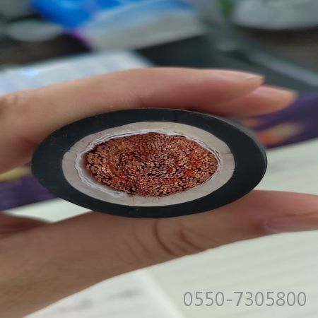 海博论坛·hibet(中国)官方网站