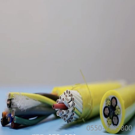 海博论坛·hibet(中国)官方网站