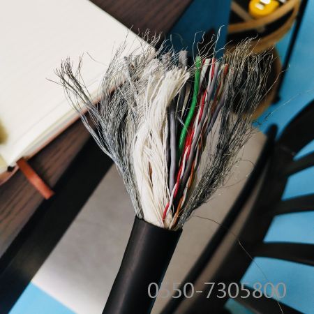 海博论坛·hibet(中国)官方网站