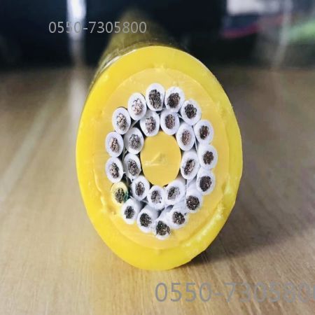 海博论坛·hibet(中国)官方网站