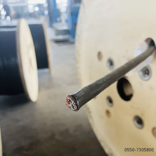 海博论坛·hibet(中国)官方网站