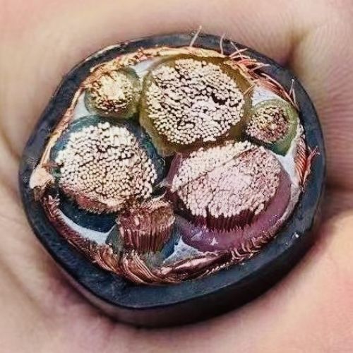 海博论坛·hibet(中国)官方网站