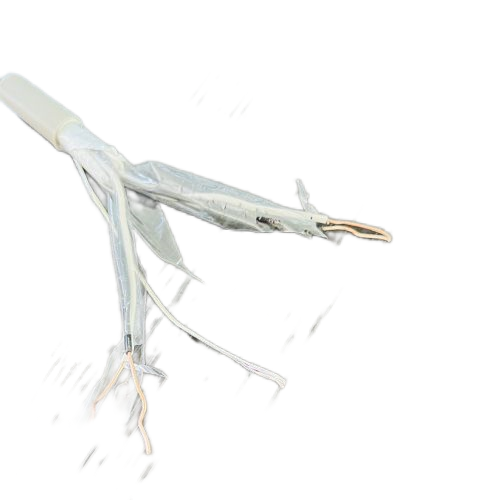 海博论坛·hibet(中国)官方网站