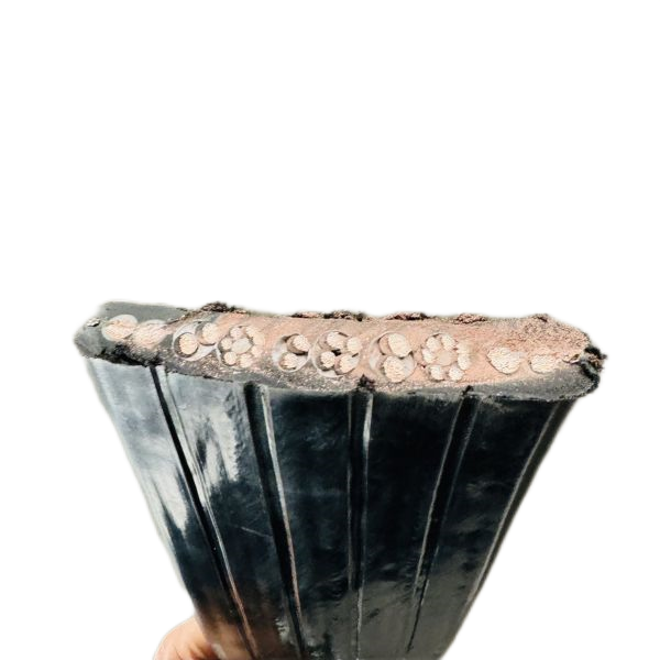 海博论坛·hibet(中国)官方网站