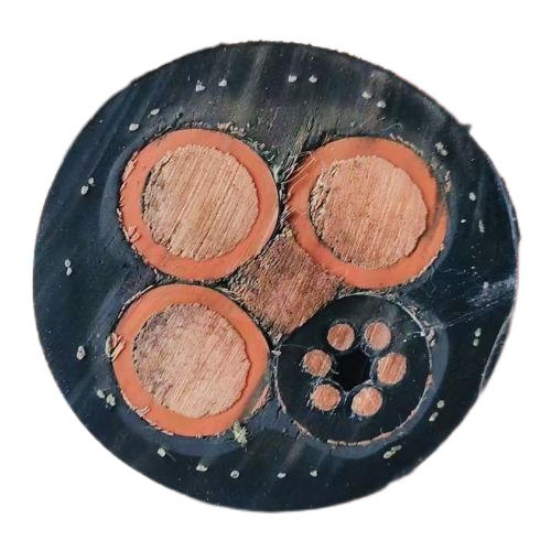 海博论坛·hibet(中国)官方网站