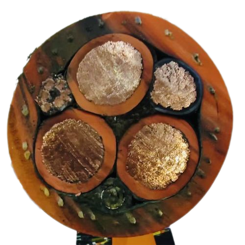 海博论坛·hibet(中国)官方网站