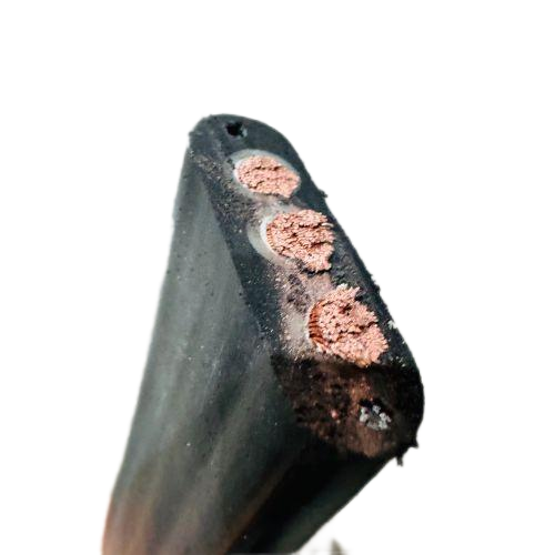 海博论坛·hibet(中国)官方网站