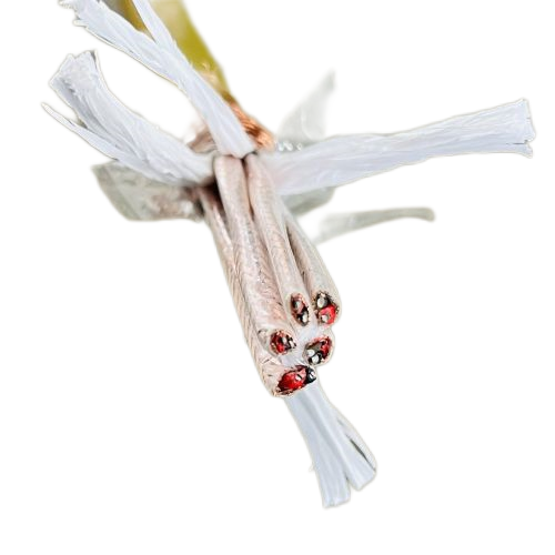 ������̳��hibet(�й�)�ٷ���վ