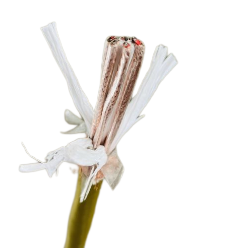 ������̳��hibet(�й�)�ٷ���վ