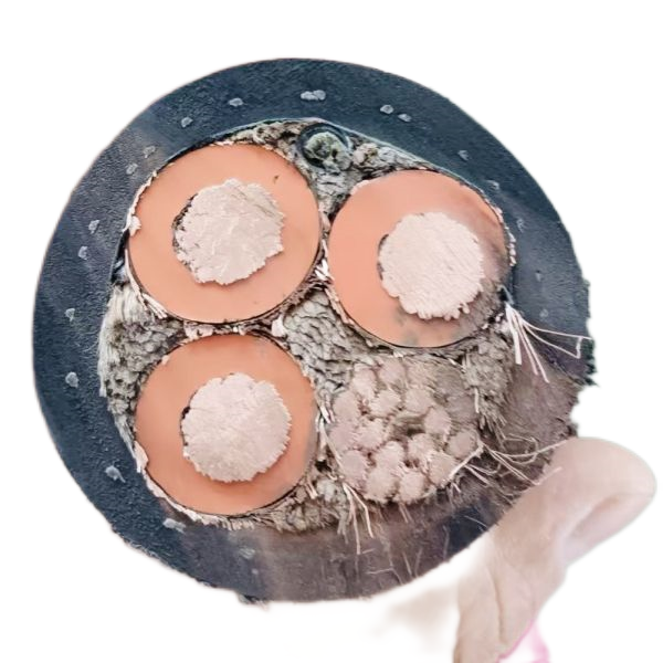 海博论坛·hibet(中国)官方网站