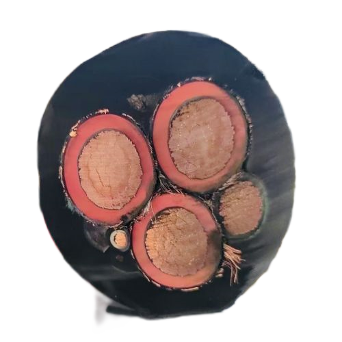 海博论坛·hibet(中国)官方网站