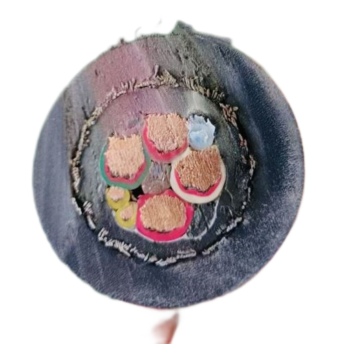 海博论坛·hibet(中国)官方网站