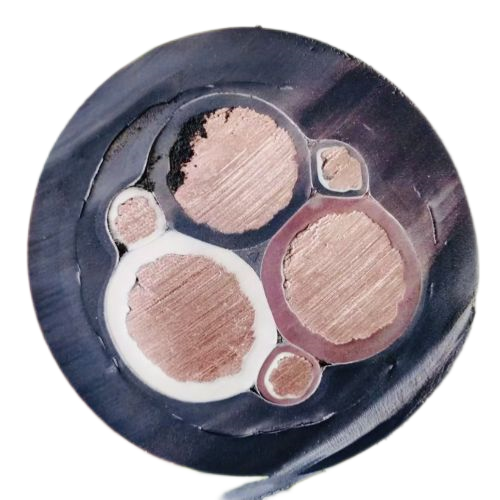 海博论坛·hibet(中国)官方网站