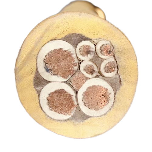 海博论坛·hibet(中国)官方网站