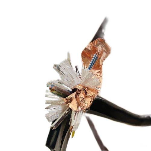 海博论坛·hibet(中国)官方网站