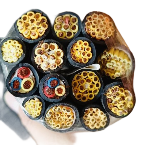 海博论坛·hibet(中国)官方网站