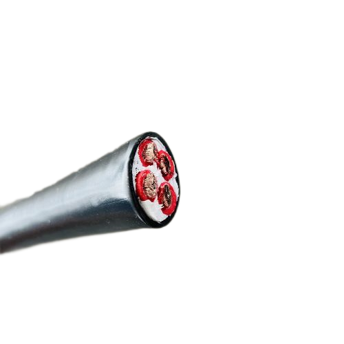 海博论坛·hibet(中国)官方网站