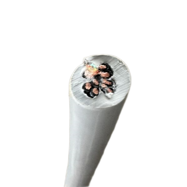 ������̳��hibet(�й�)�ٷ���վ