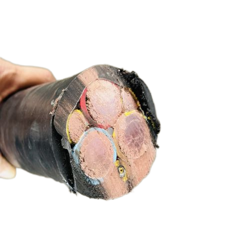 海博论坛·hibet(中国)官方网站