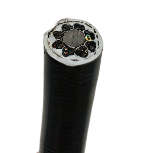 海博论坛·hibet(中国)官方网站