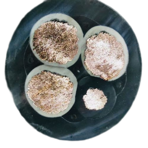 海博论坛·hibet(中国)官方网站