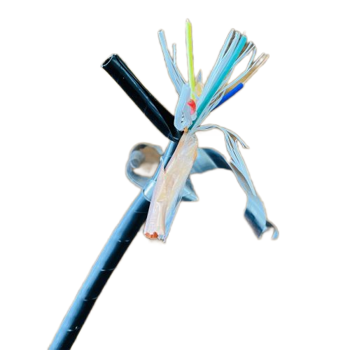 海博论坛·hibet(中国)官方网站